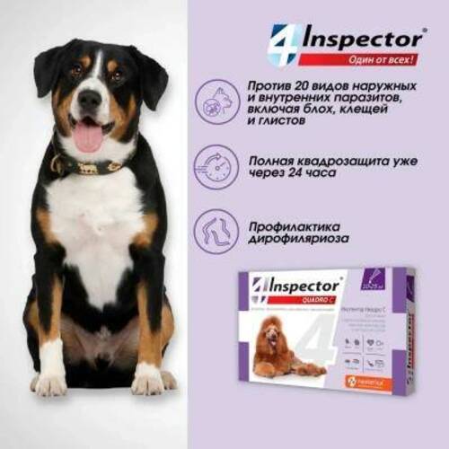 Inspector Quadro C, Инспектор Капли от клещей и блох для собак от 10 до 25 кг