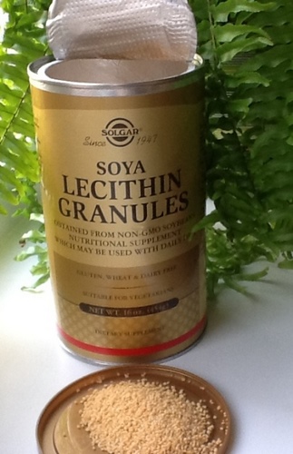 Solgar Лецитин в гранулах, Lecithin Granules 227 гр