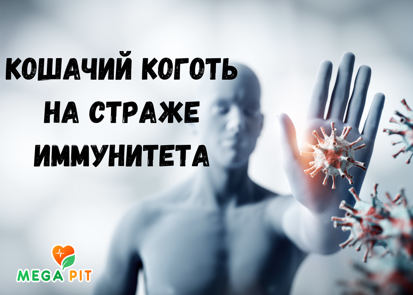 Кошачий коготь применение и Польза 