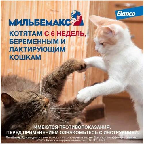 Мильбемакс, Антигельминтик, Таблетки для кошек весом более 2 кг, 2 штуки, 1 таб/4-8 кг