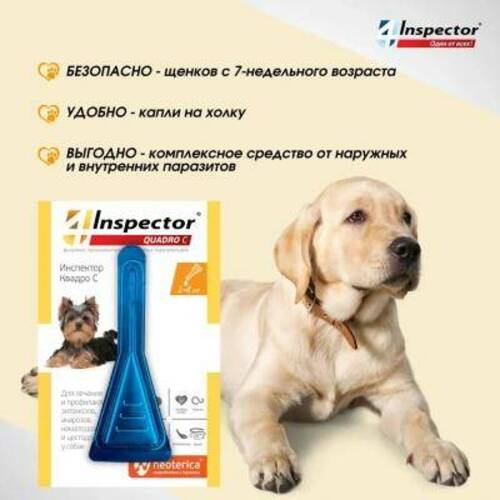 Inspector Quadro C, Инспектор Капли от клещей и блох для собак от 1 до 4 кг