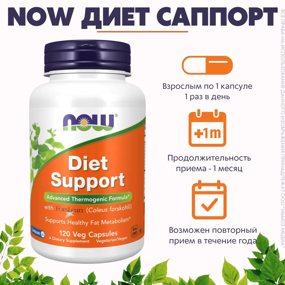 Now Foods Diet Support, Для быстрого похудения, 120 caps.