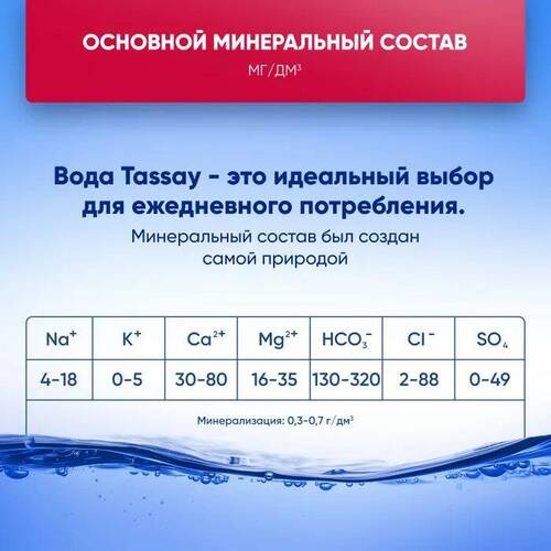 Tassay Вода газированная, 1 л