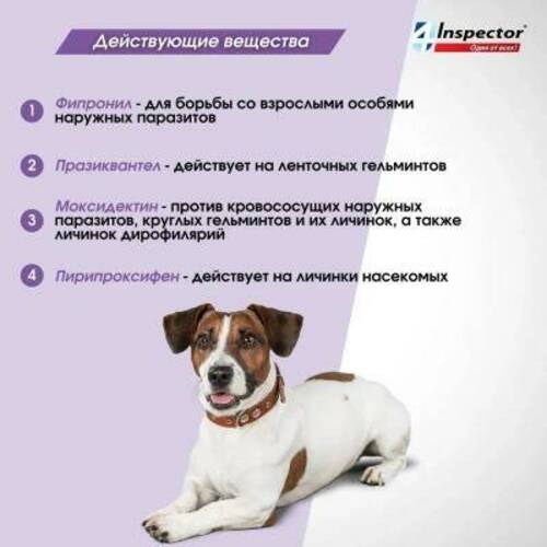 Inspector Quadro C, Инспектор Капли от клещей и блох для собак, 40-60 кг