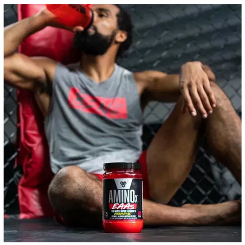 BSN Nutrition Аминокислоты, Amino X EAA's, 385 гр