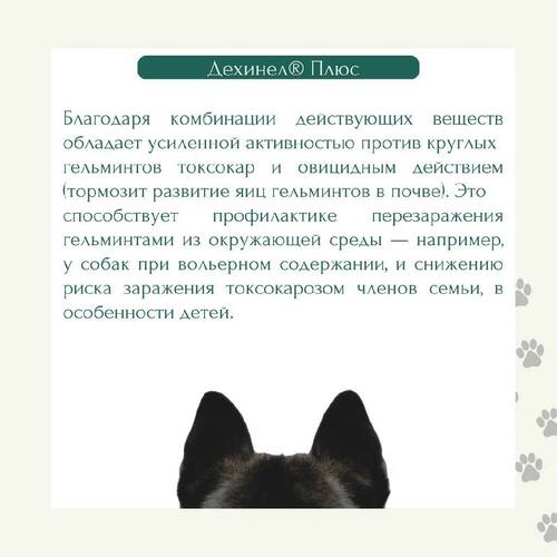 KRKA, Дехинел Плюс, Антигельминтик, Таблетки для собак, 10 штук, 1 таб/10 кг