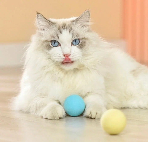 Сибирская Кошка, Интерактивный мяч, 