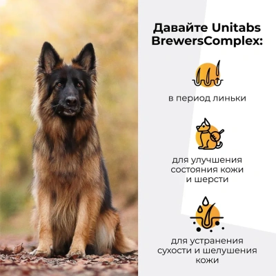 Unitabs, Витамино-Минеральный комплекс BreversComplex с Q10 и Пивными дрожжами для круп. собак 100шт