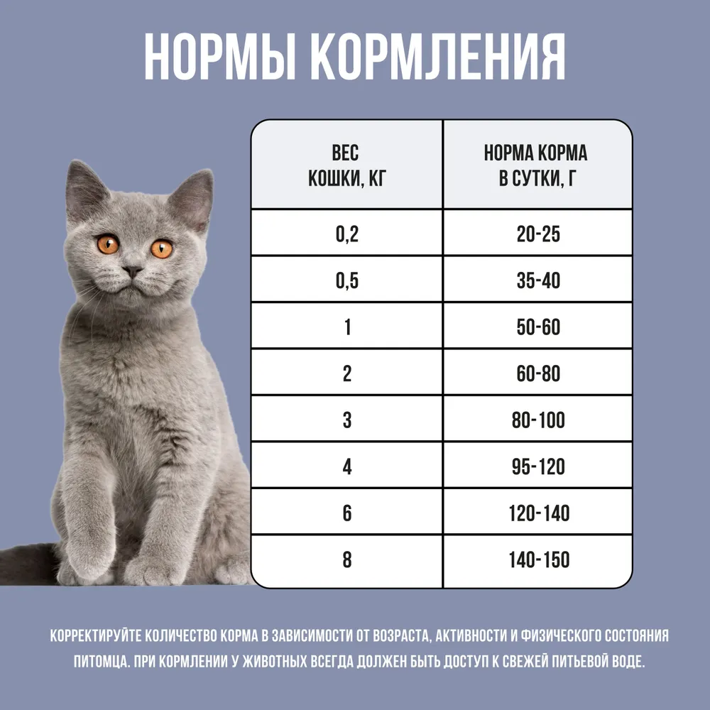 Bowl Wow, Сухой корм для котят (курица/черника) 1,5 кг