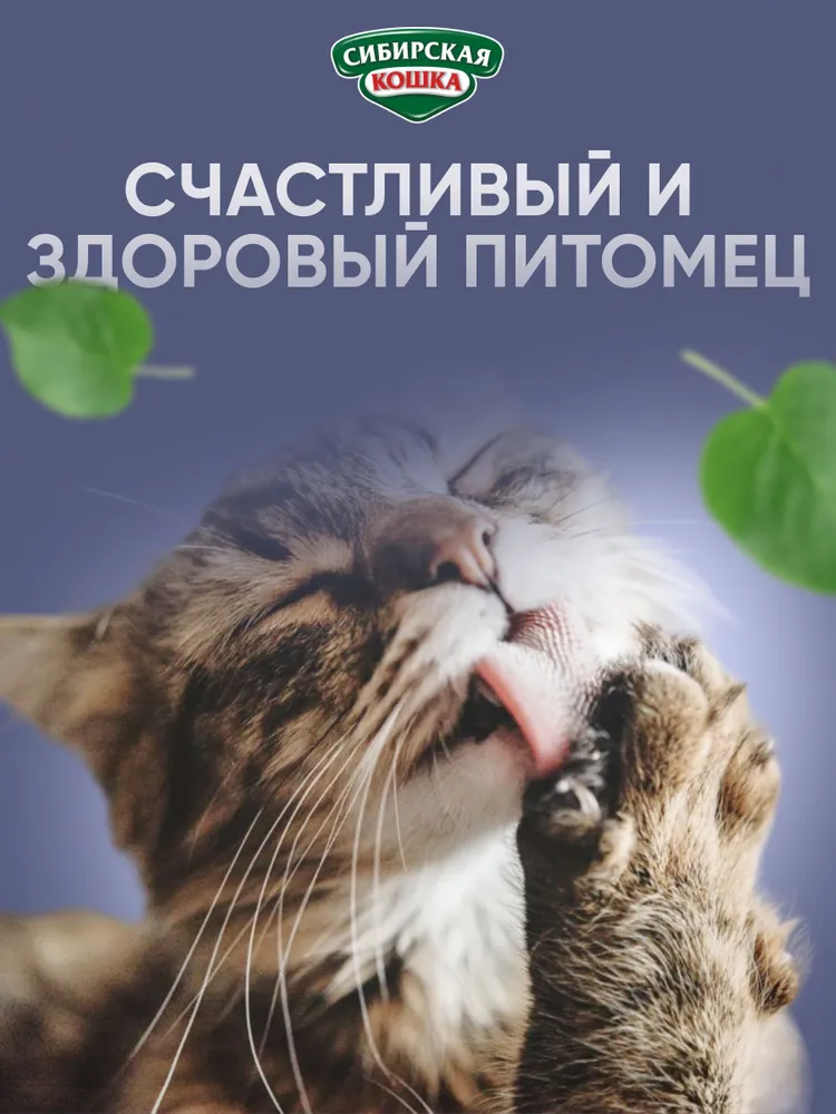 Сибирская кошка, Когтеточка ЦАРАПКА ковролин 565 х 135 мм