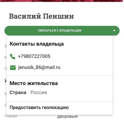 WAUDOG, Адресник Smart ID c QR-паспортом, Металл, Рисунок 