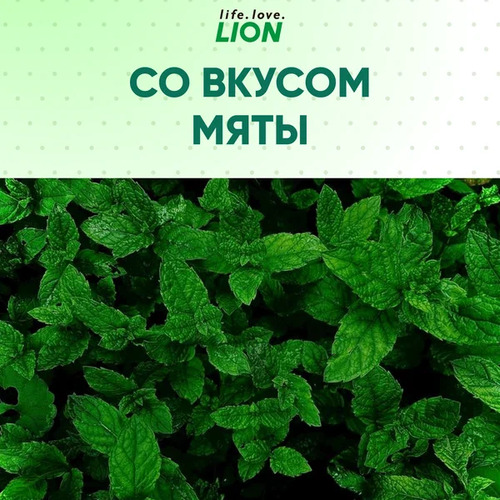 CJ LION, Зубная паста ДЛИТЕЛЬНАЯ СВЕЖЕСТЬ с ароматом зеленой мяты,Systema Total Care 120 г