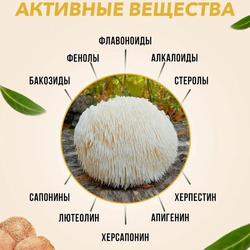 Elite Fungi Ежовик гребенчатый Микс плоды + мицелий 500 мг, 120 вегетарианских капсул