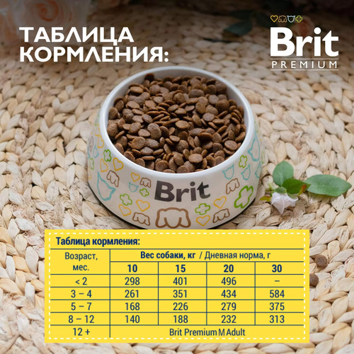 Brit Premium, Dog Puppy and Junior Medium, Сухой корм для щенков и молодых собак (курица), 3 кг
