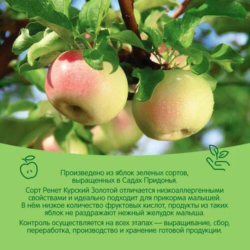 Сады Придонья, Пюре яблочное с 4 месяцев, 125 гр