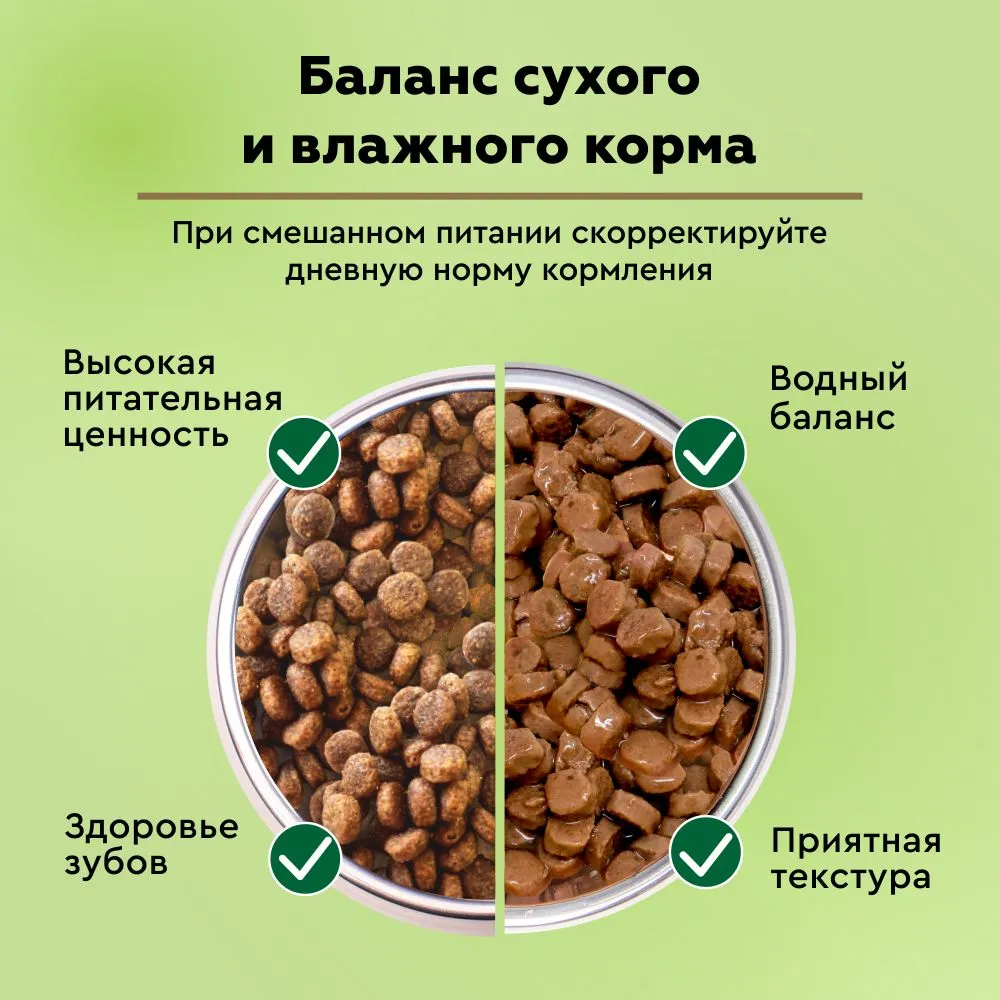 SECRET, Корм для стерилизованных кошек и кастрированных котов в соусе (утка), 85 г 