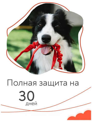 Muzzle Антипаразитарные био капли от блох и клещей (на холку), Для собак и щенков, 2 мл