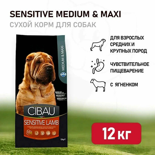 Farmina, Cibau Sensitive, Сухой корм для собак средних и крупных пород (ягненок), 12 кг