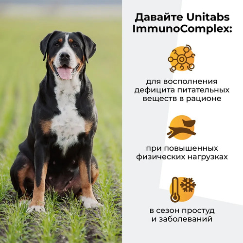 Unitabs, ImmunoComplex Ежедневные витамины для крупных собак 100 шт