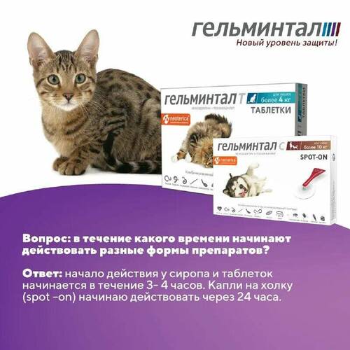 Гельминтал-Т, Антигельминтик, Таблетки для кошек от 4 кг, 2 шт, 1 таб/4-8 кг