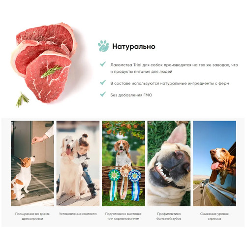 Triol, Косточка жевательная из сыромятной кожи, DENTAL, 12,5см, 50г, 1шт